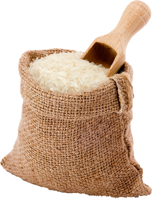 Rice